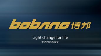 照亮未来 丽景灯具的品牌战略与市场突围之道